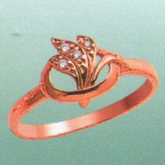 Е7243 Опока кольцо